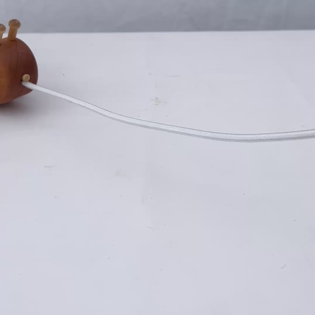 Pull-Along Wooden Cricket