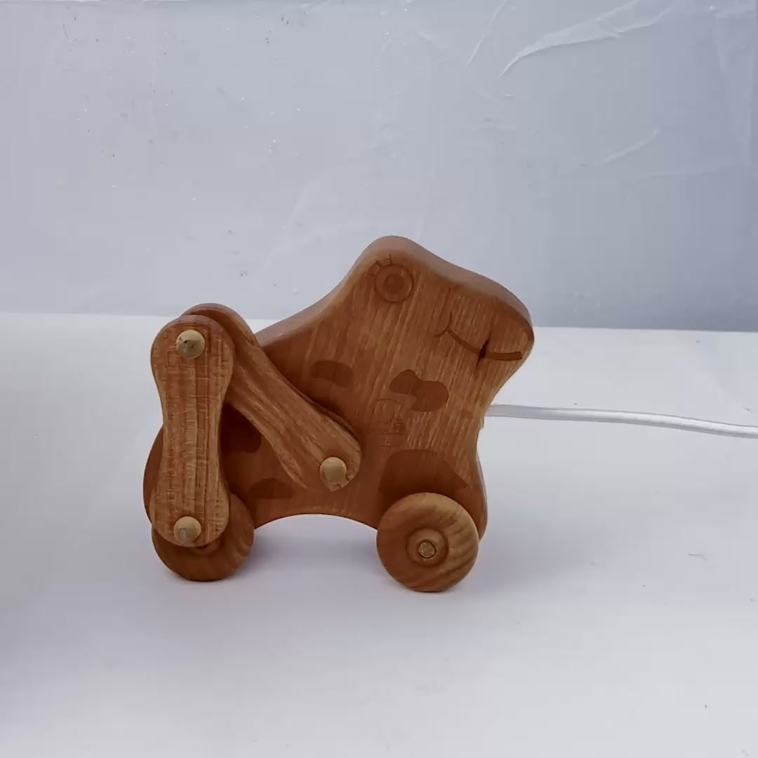 Pull-Along Frog